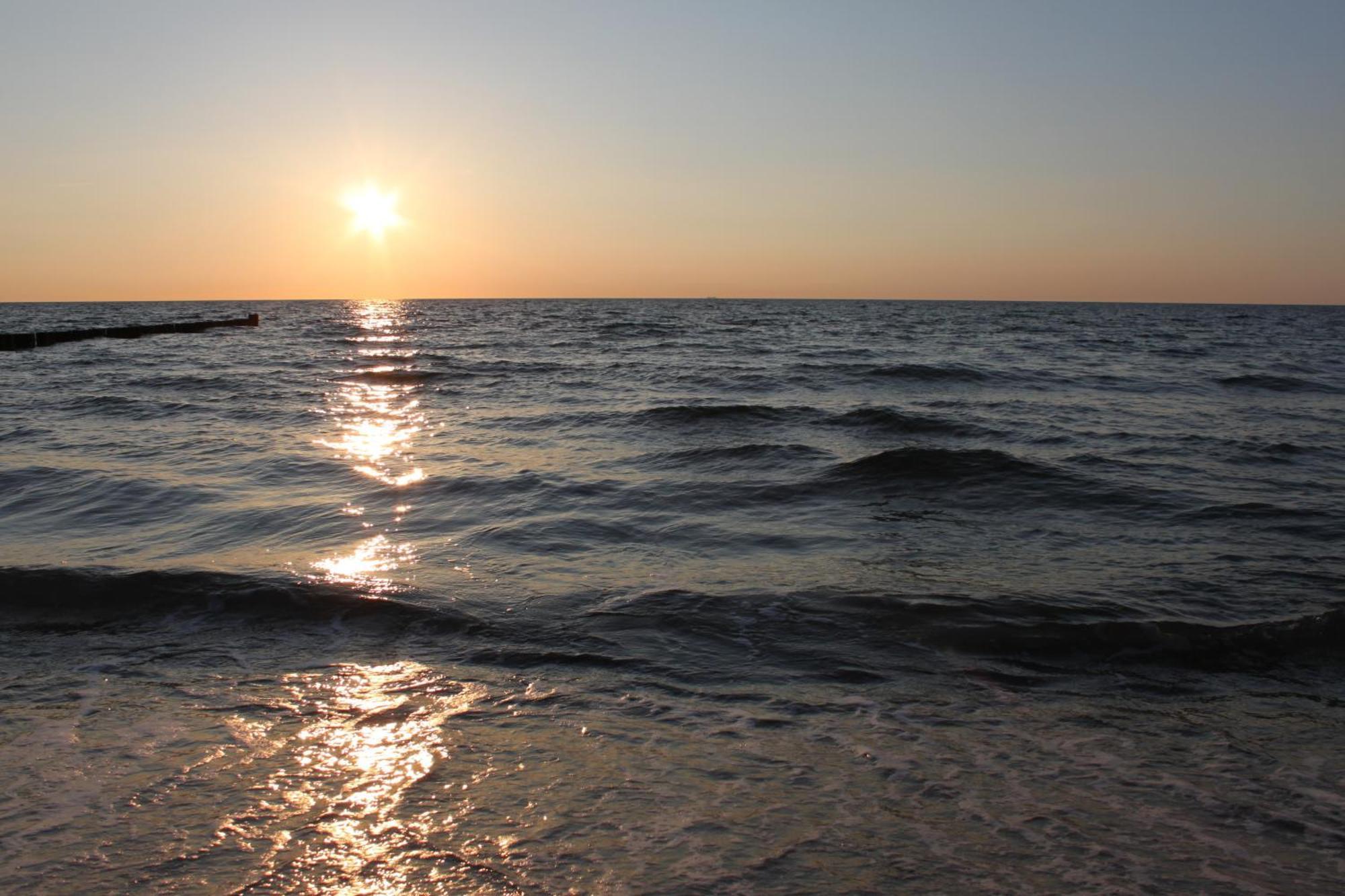 -"Strandhaus Friedrich"- Dierhagen Zewnętrze zdjęcie