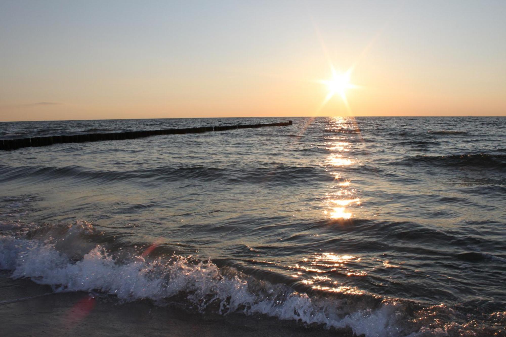 -"Strandhaus Friedrich"- Dierhagen Zewnętrze zdjęcie