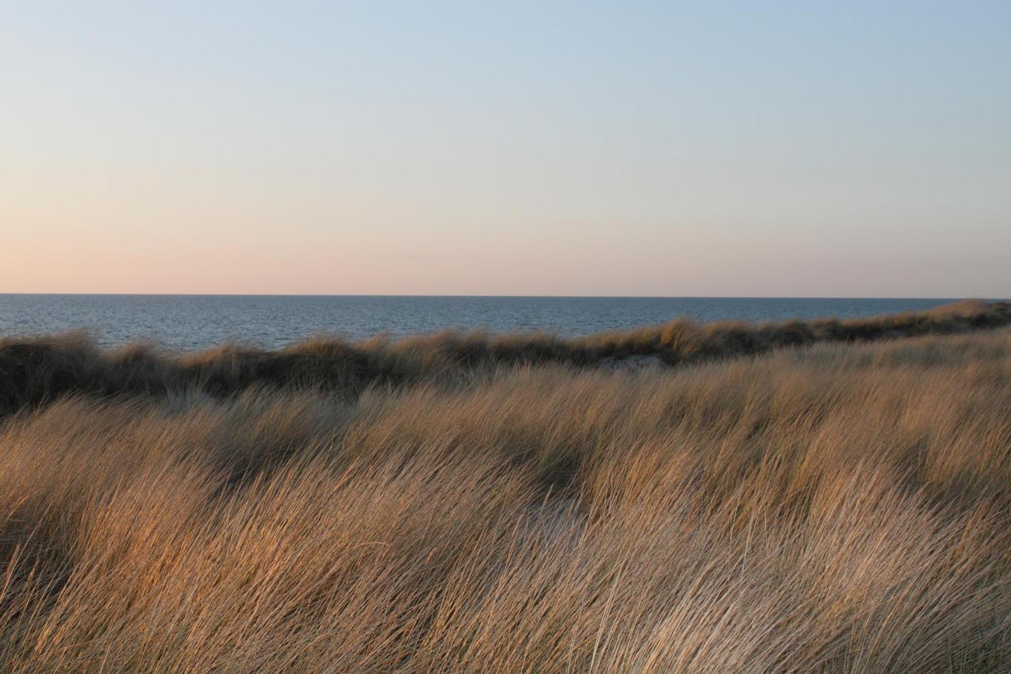 -"Strandhaus Friedrich"- Dierhagen Zewnętrze zdjęcie