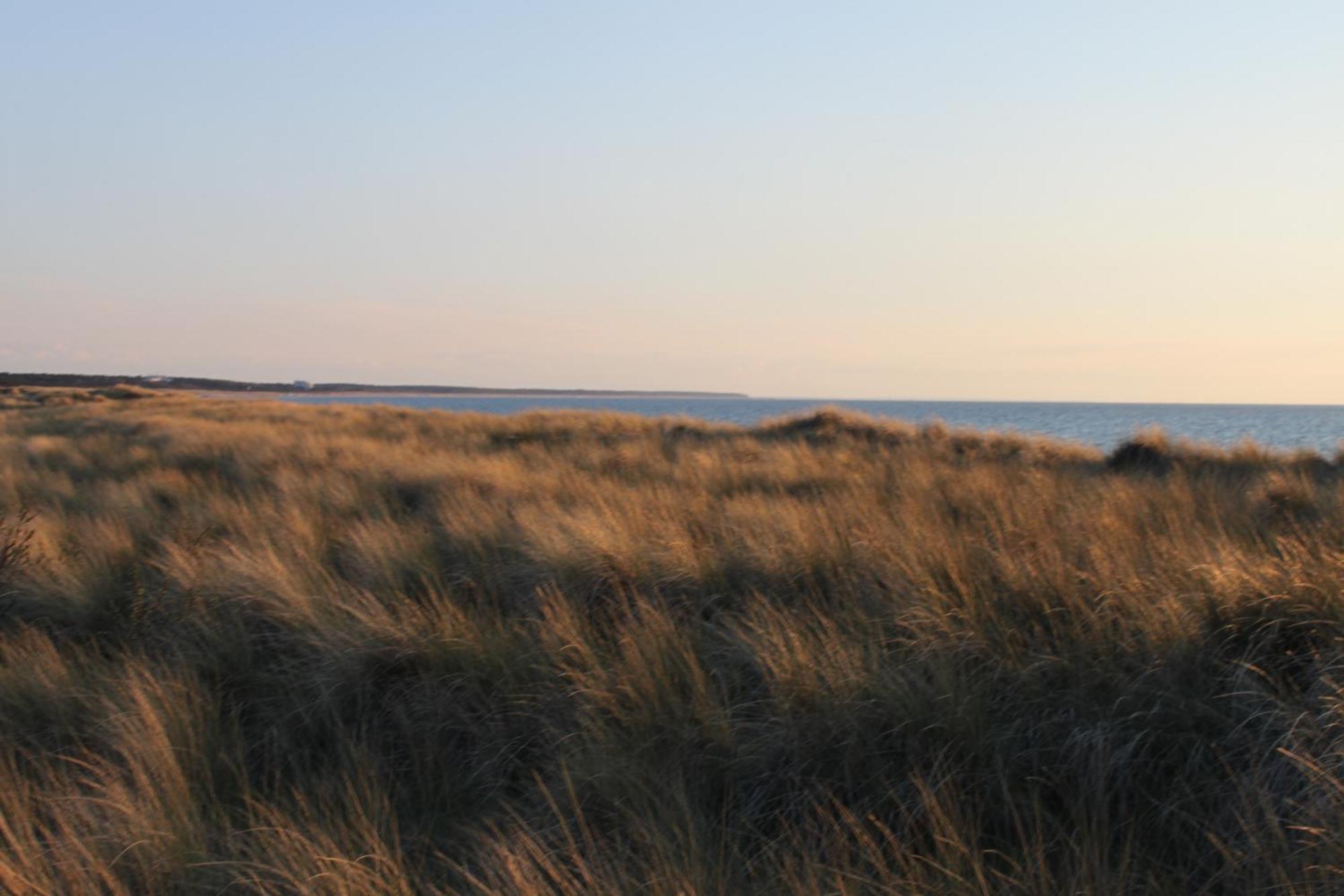 -"Strandhaus Friedrich"- Dierhagen Zewnętrze zdjęcie